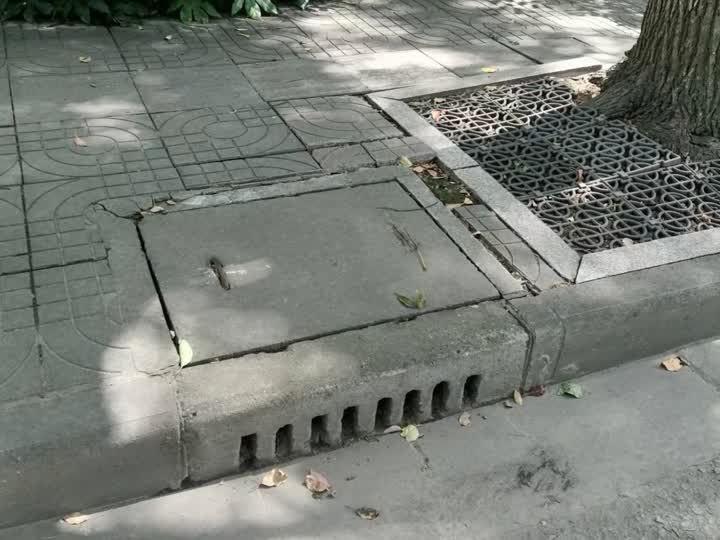 市区800余座雨水边井微整形收水面积加大排水速度更快