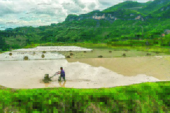 重庆造小农机解决山区农业大问题