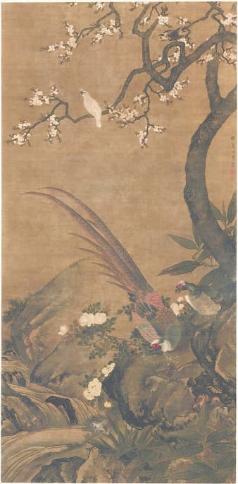 探花要找什么花