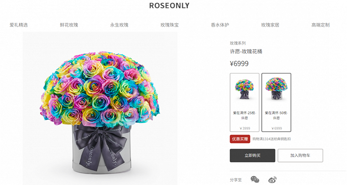 (图 / 来自ROSEONLY官网)