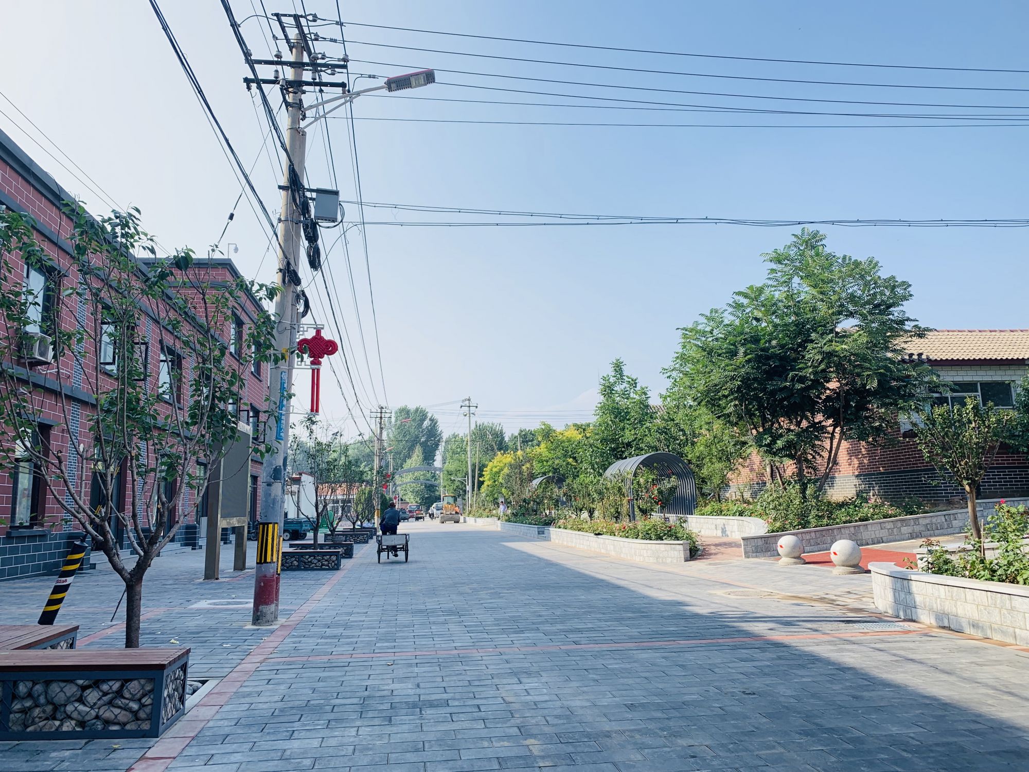 系列报道北京乡村振兴故事五环保新农村蘑菇铺出致富路大兴区李家场村