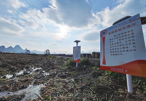 广西移动5G技术为稻田装上智慧“芯”