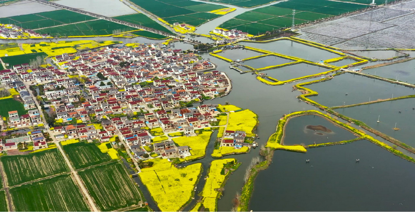 广洋湖镇蒯家村.广洋湖镇白鼠村.