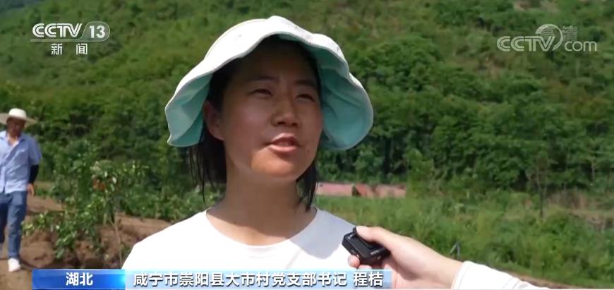 央视网消息:湖北省崇阳县的大市村,曾是省级重点贫困村.2014年,"90后"