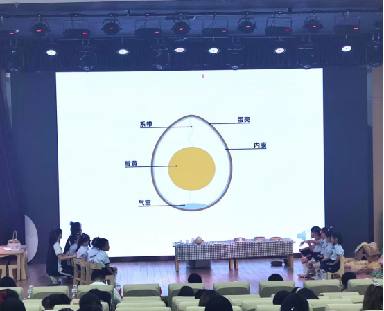 　　《各种各样的蛋》教学成果展示