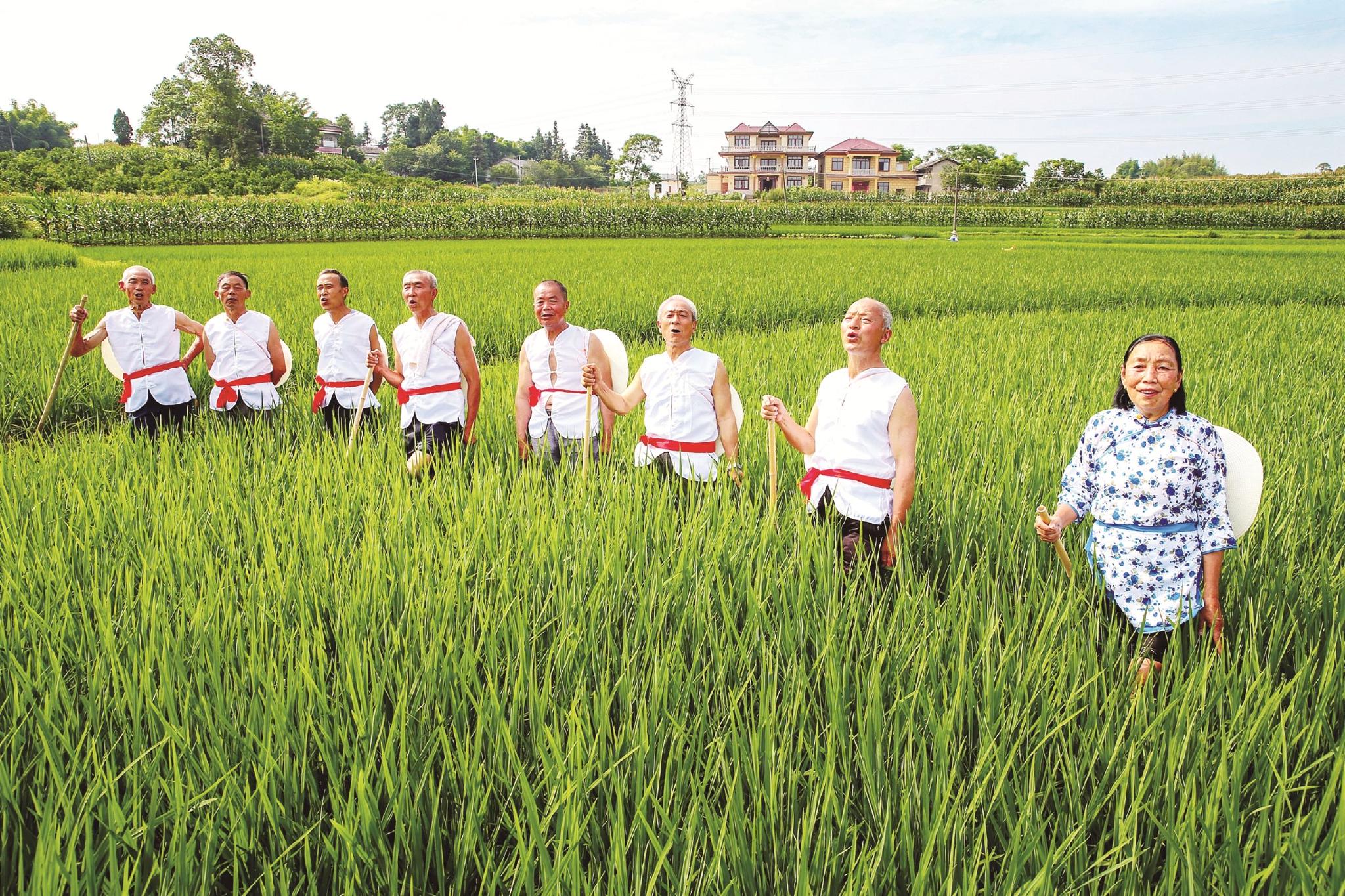 村民高唱薅秧歌传承非遗助振兴