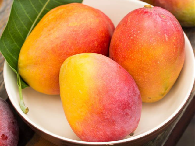 芒果_新浪财经_新浪网