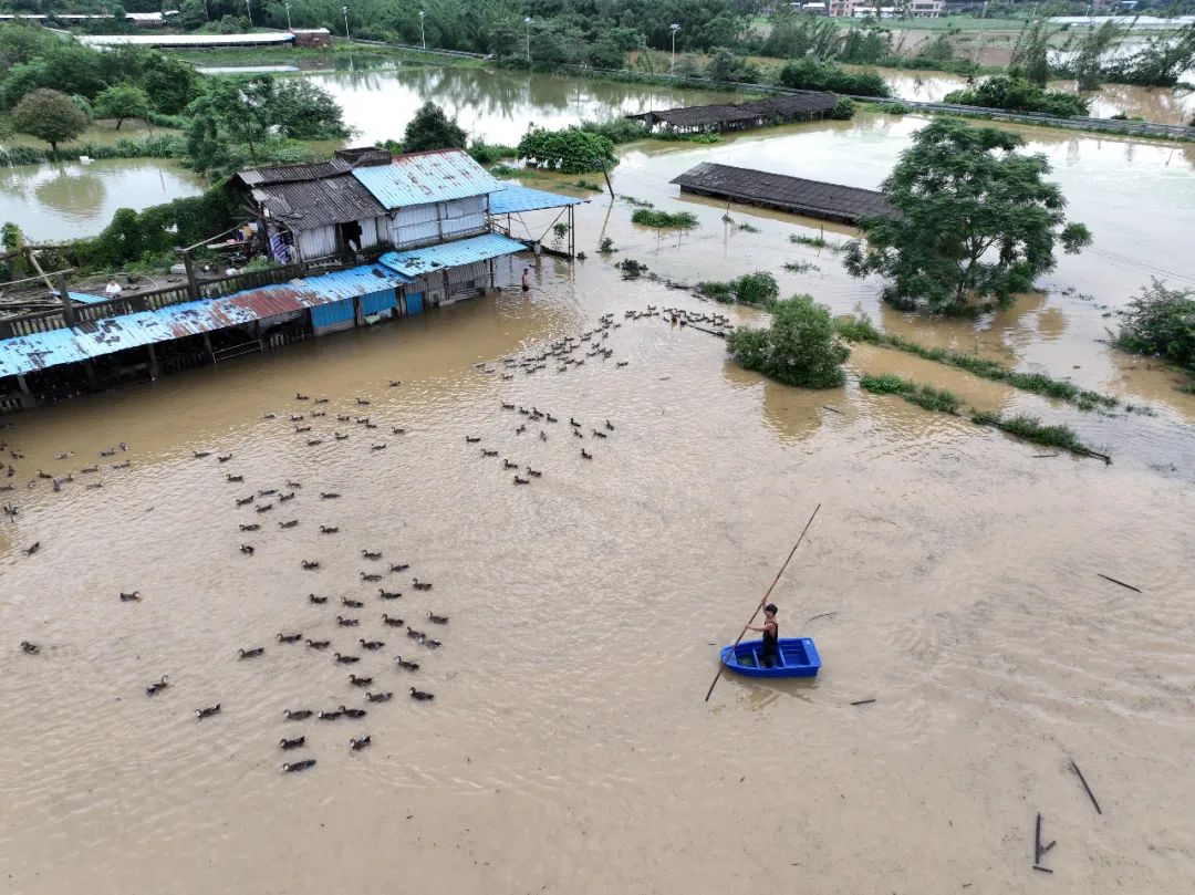 洪峰过境切记注意汛期安全