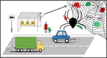 ↑蜘蛛网首次被用作研究空气中的微塑料污染
