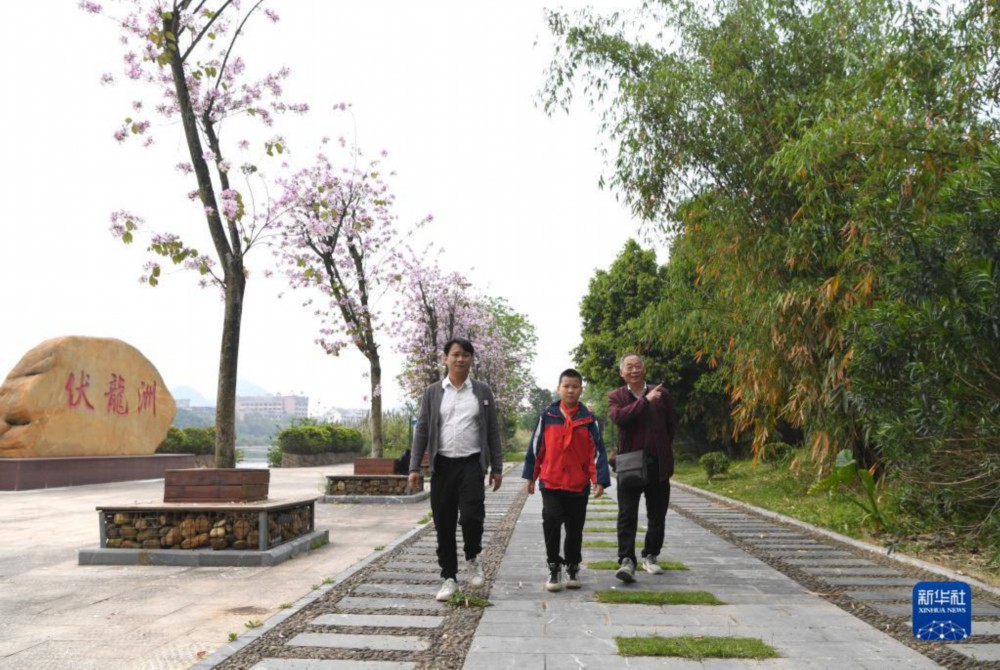 伏龙洲原居民黄岗（右）带着儿子、孙子重回改造后的伏龙洲游玩（4月10日摄）。新华社记者 周华 摄