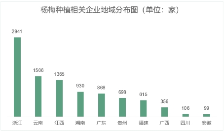 　　(湖南省杨梅种植企业注册数量930家 排名全国第四)