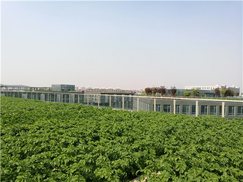 浙江淳安瑞意小微企业管理有限公司屋顶鱼池"屋顶农业与垂直绿化相融