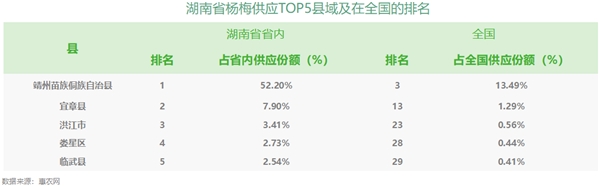 　　(靖州县杨梅市场份额占据全省52%以上 稳居全省第一)