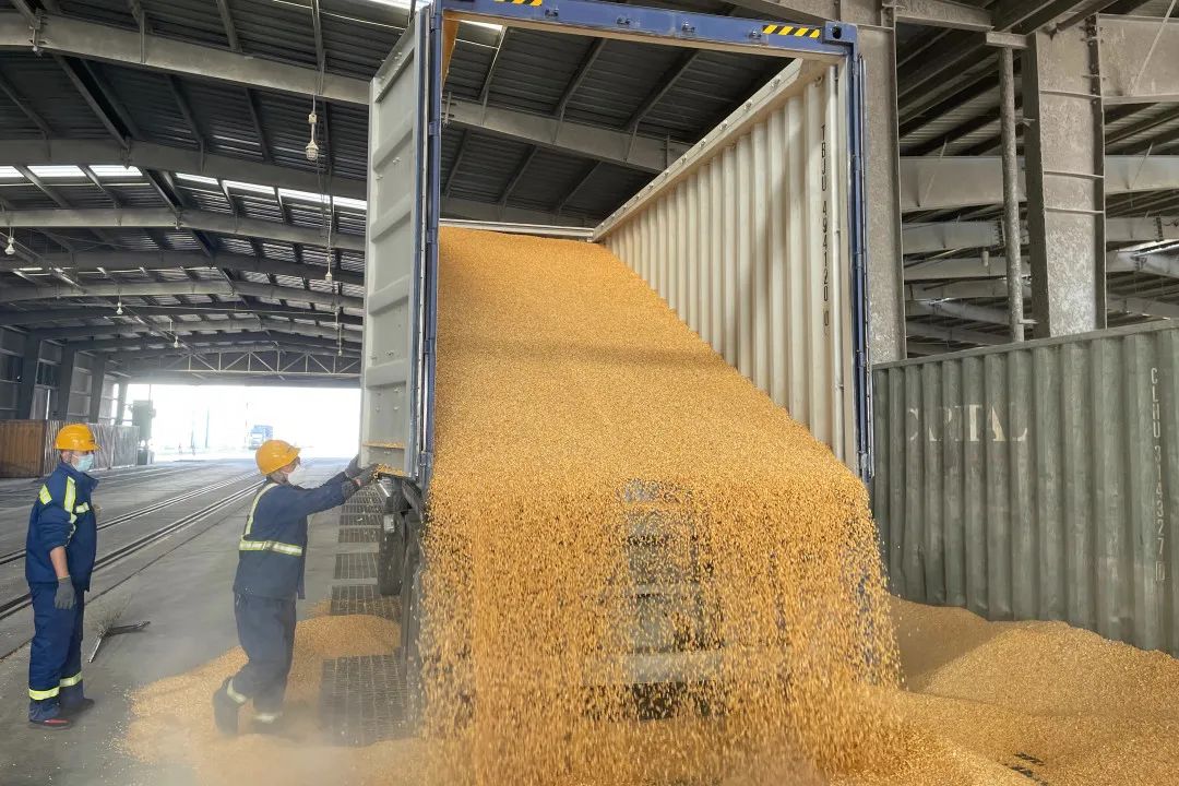 提升粮食作业效率,保"北粮南运"物流通道畅通