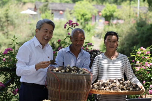 　　徐志新帮村民们直播卖当地特色的羊肚菌