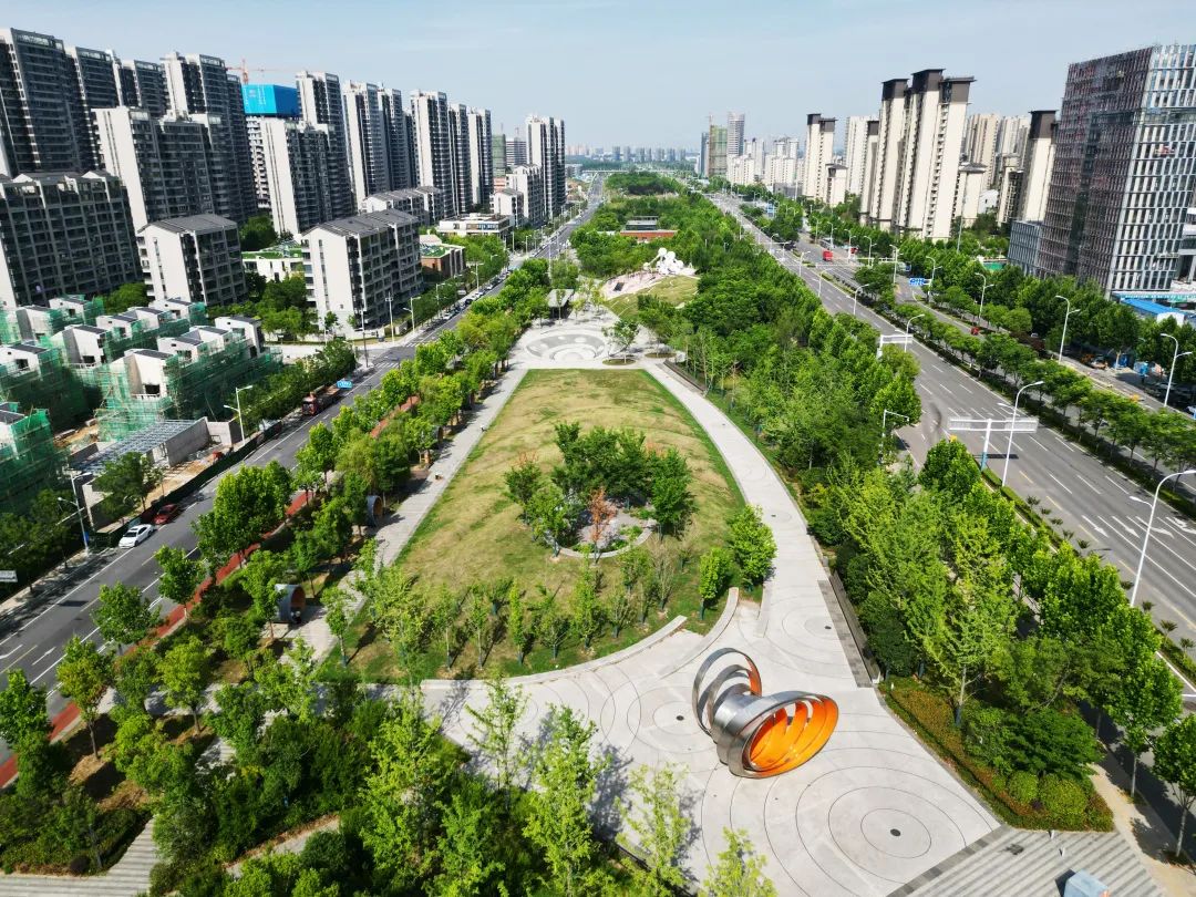 你看,淝河智慧中央公园生机盎然,飞扬城市发展绿色旋律;图 | 南淝河