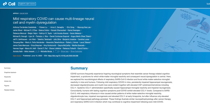 IT|斯坦福、耶鲁研究：新冠感染轻症仍可能导致神经细胞和髓鞘失调