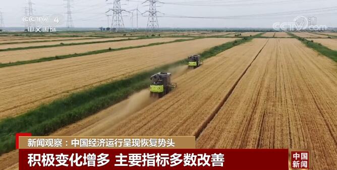 中国经济运行呈现恢复势头 积极变化增多