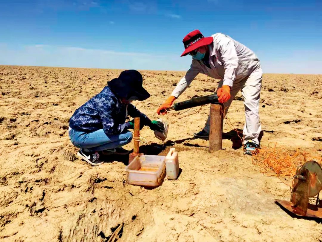 在青藏高原北部的柴达木盆地，工作人员在盐碱地中进行采样。图/新华