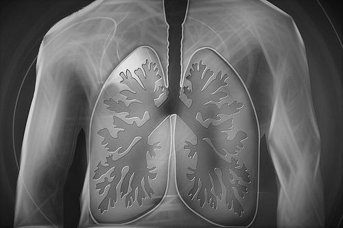 科学家找到引发肺癌主要原因