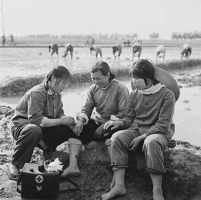 1971年,大兴赤脚医生深入田间为农民服务.刘乐棠摄