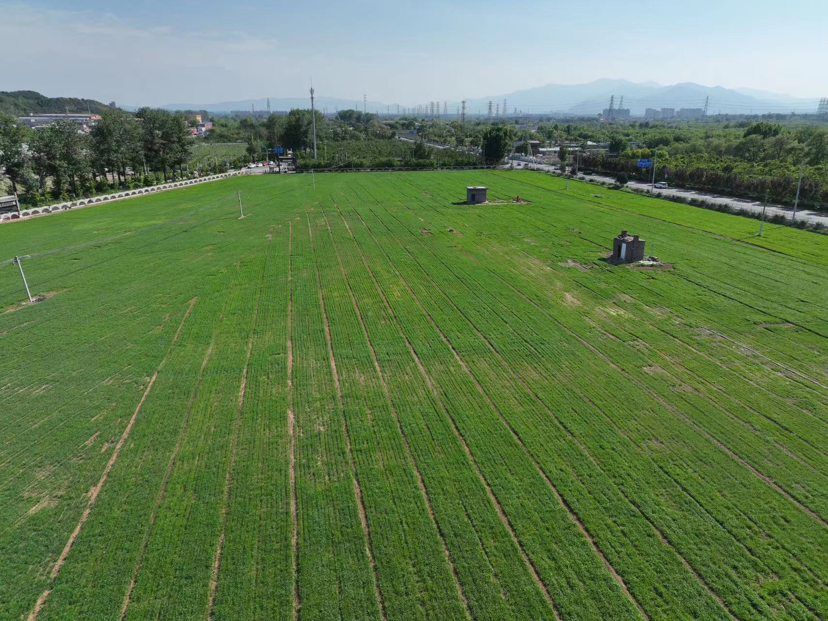 据了解,为推动复耕复垦工作,十三陵镇结合镇域实际和土地利用情况