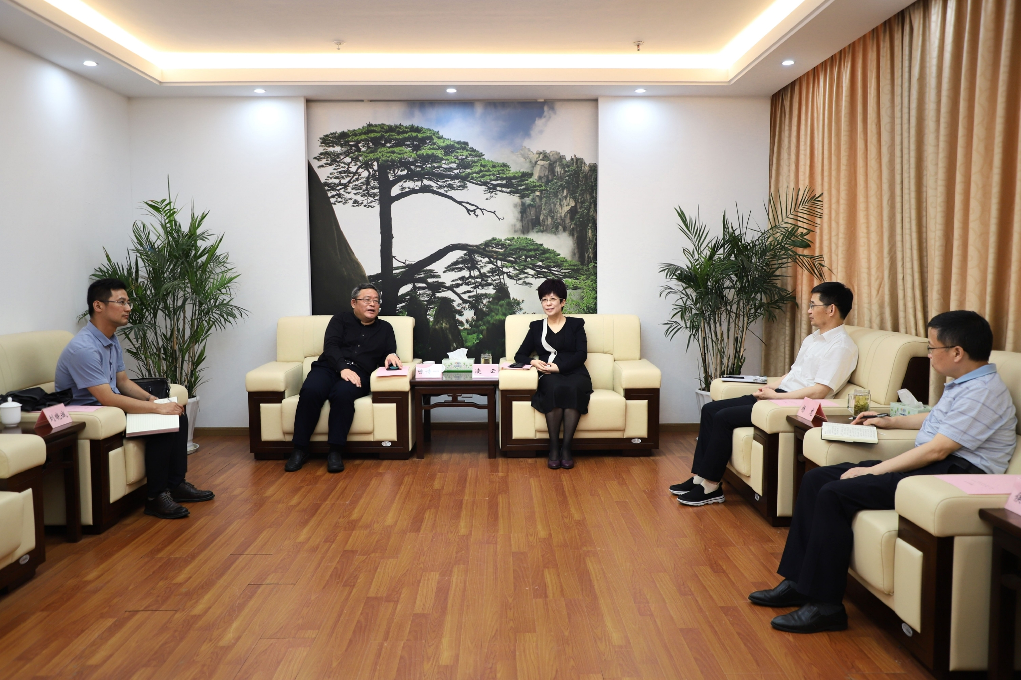 凌云与安徽大学陈诗一举行工作会谈|凌云_新浪财经_新浪网