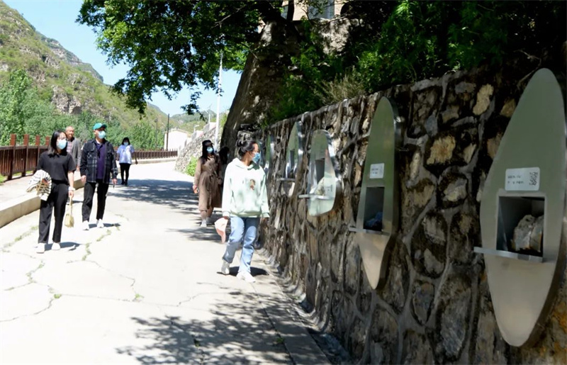 村内精心打造的岩矿标本展示墙，讲述着关于石头的故事。顺平县供图
