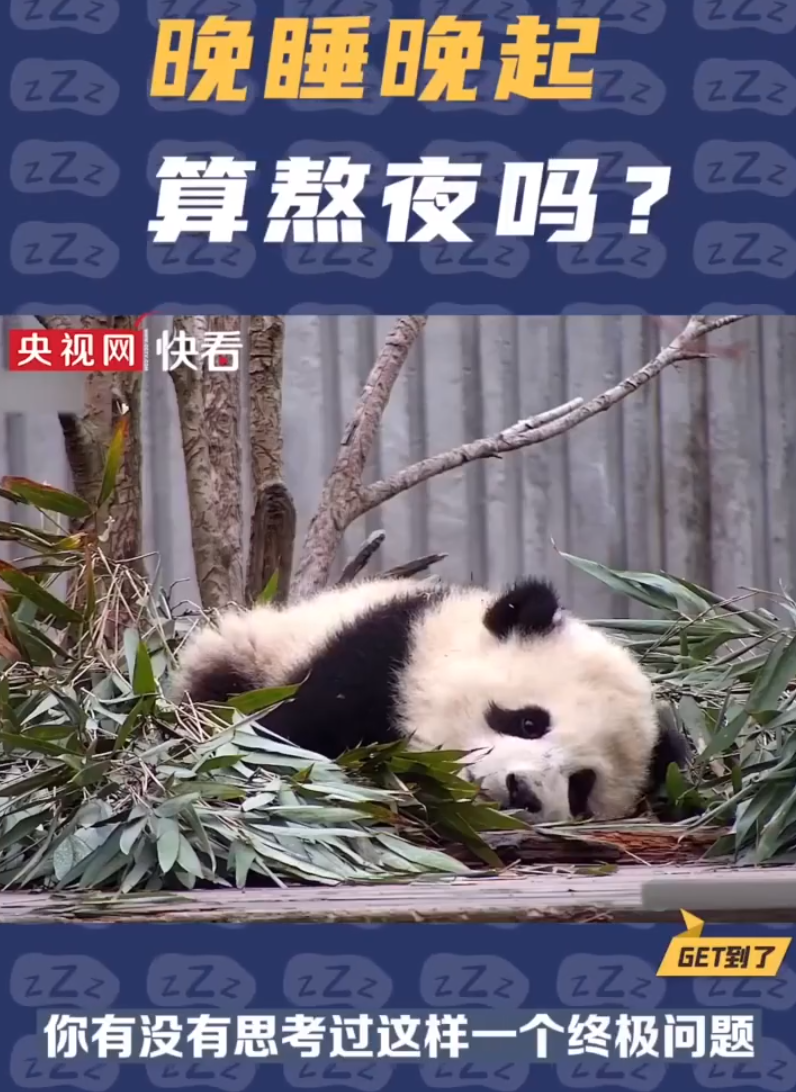 图片来源：央视网快看微博