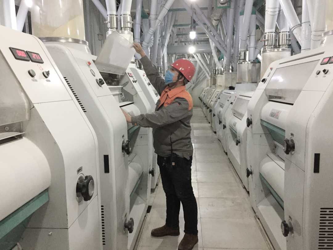 石家庄藁城区五星面业有限公司面粉加工车间.王凯凯摄