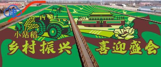 稻田画设计效果图