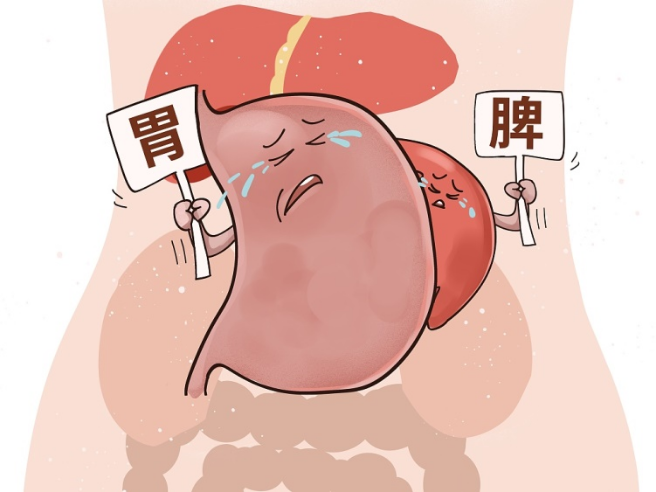 神倦乏力皮肤没光泽长夏脾胃虚弱吃它好处多多