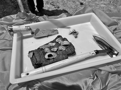 考古人的工具箱和二期考古试掘中发现的贝壳.