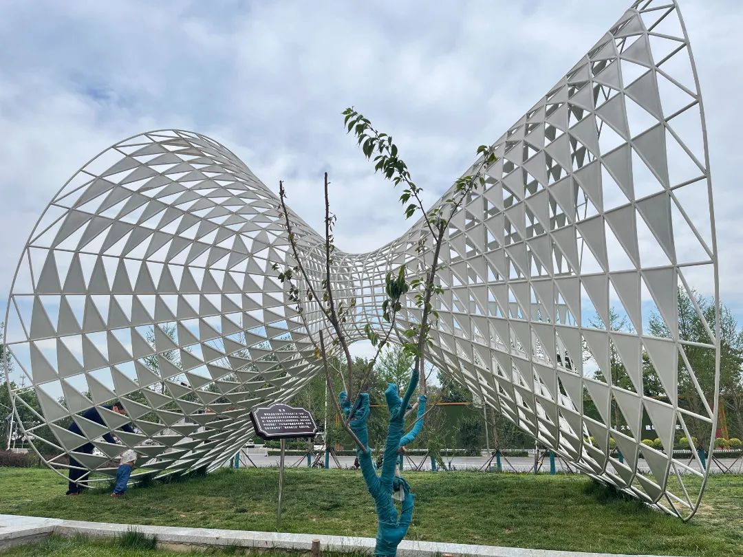 一老一小在红砖砌成的"时光长廊"里穿梭;在纺锤艺术雕塑旁,纺织大院