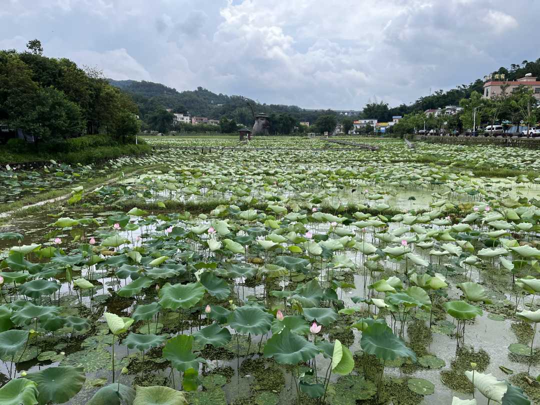 广州花都:老村焕新貌|红山_新浪财经_新浪网