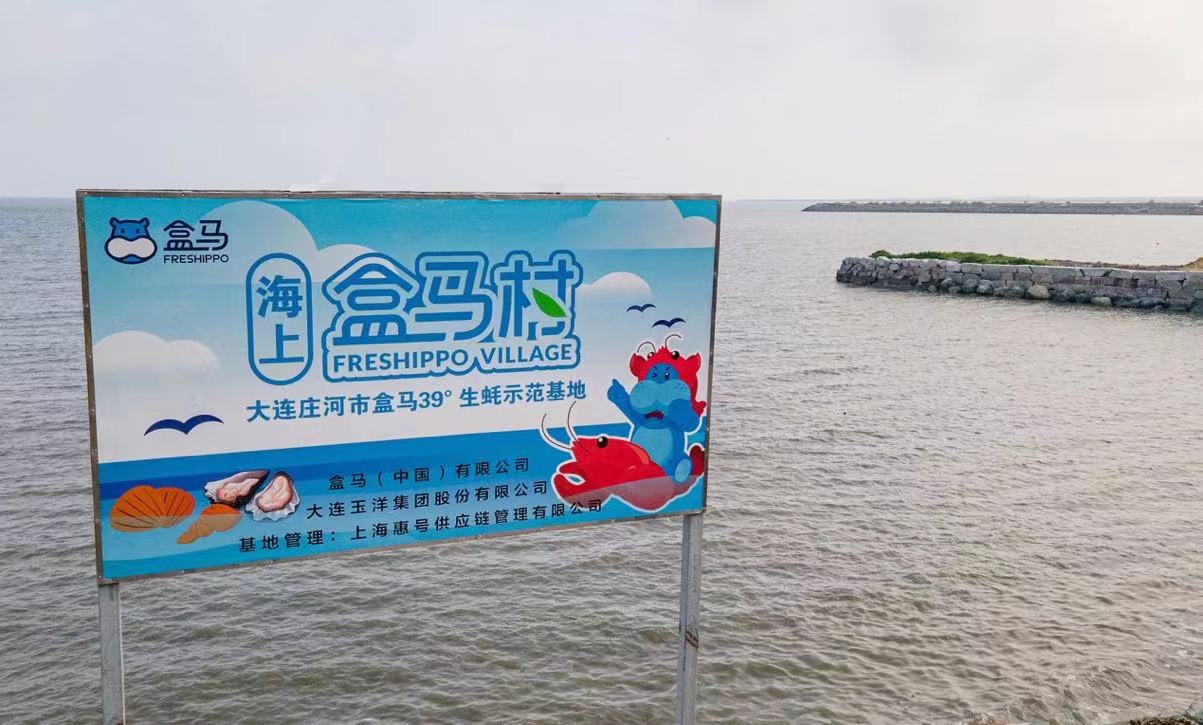 图说：海上盒马村标牌，在码头旁，迎风靠海。