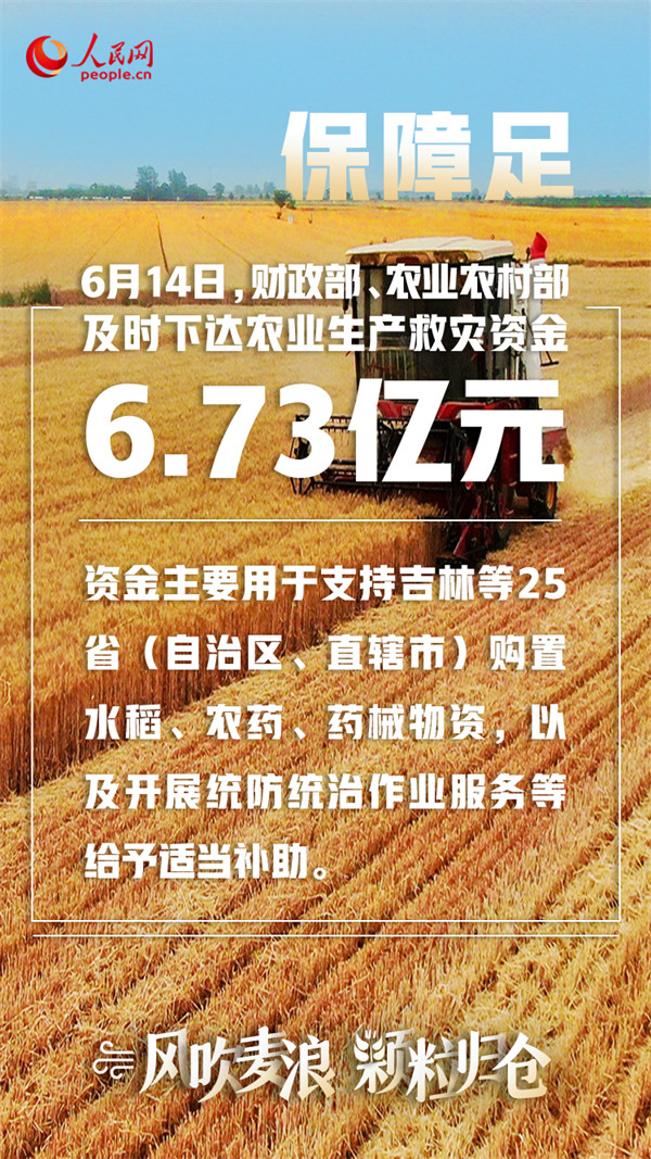 策划/文案：王仁宏