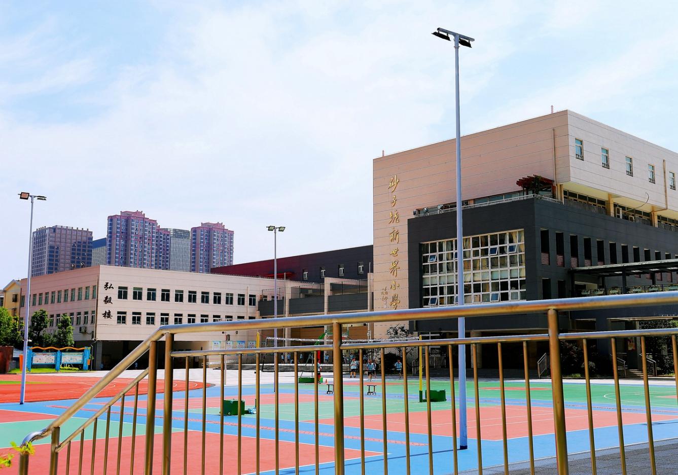 与国欣·向荣府隔路相邻的砂子塘新世界小学