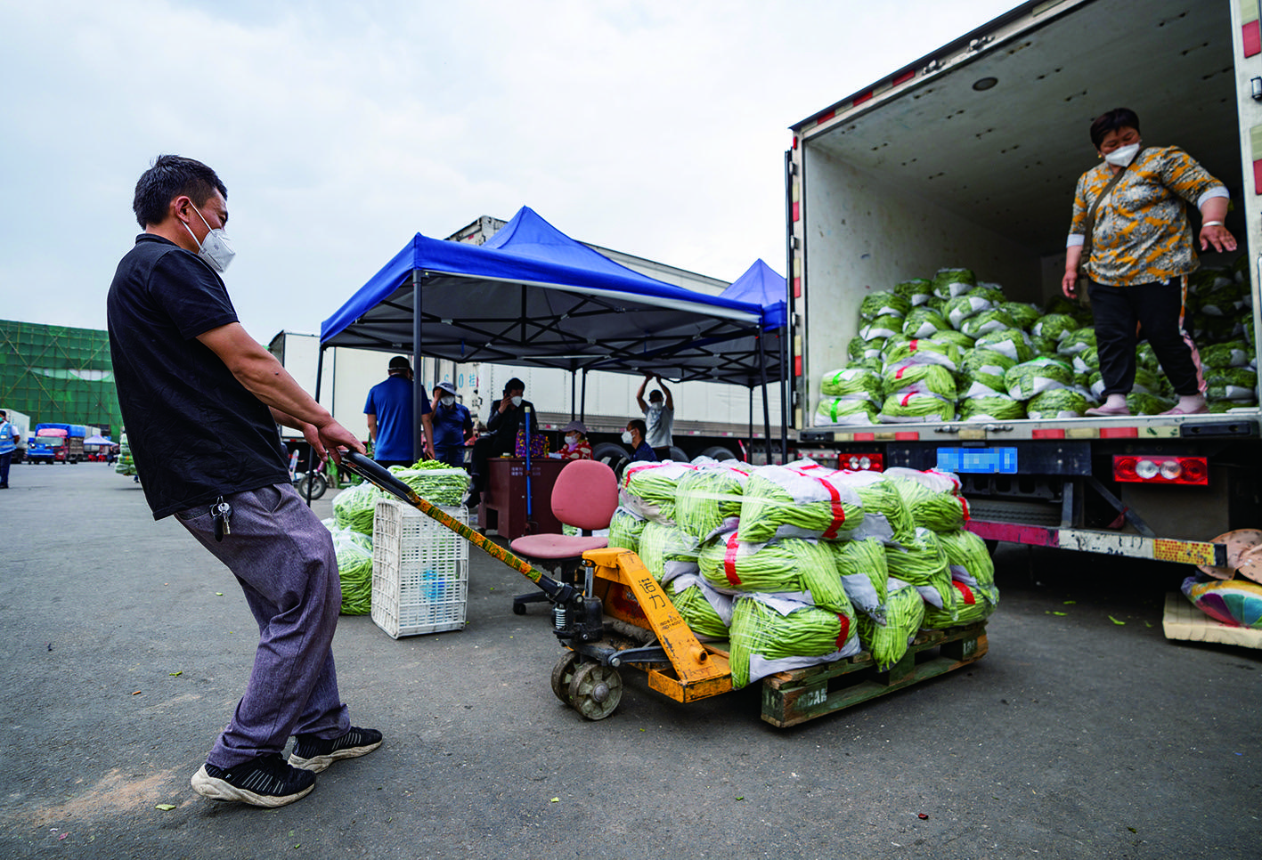 5月17日,新发地市场,商户将批发的蔬菜装车.新京报记者 陶冉 摄