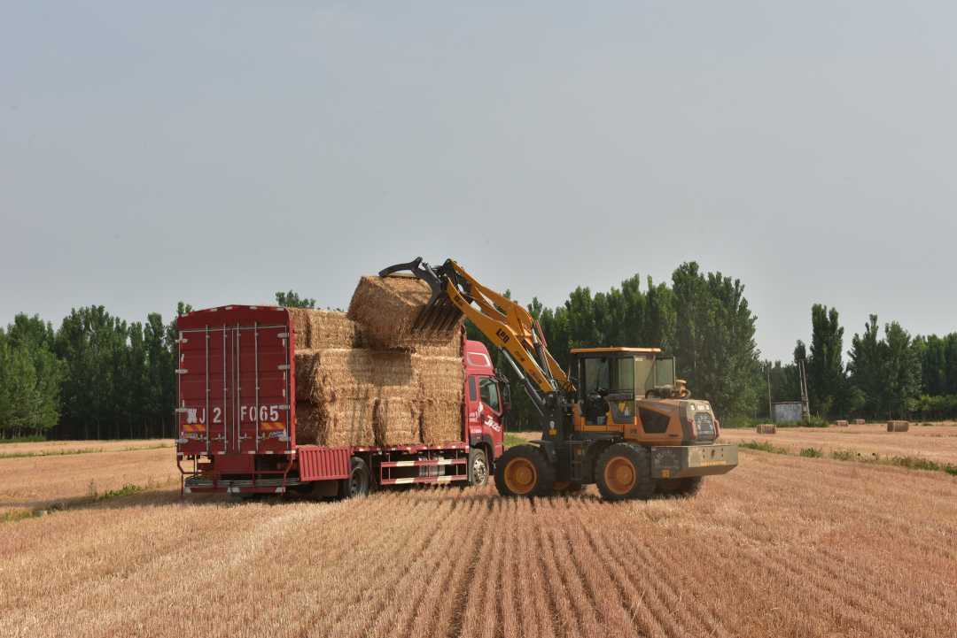 河北泊头麦秸资源化利用促进农民增收