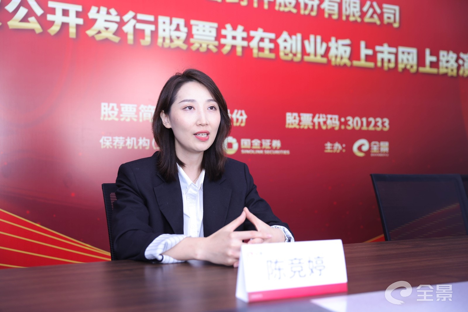 图4:保荐代表人发言