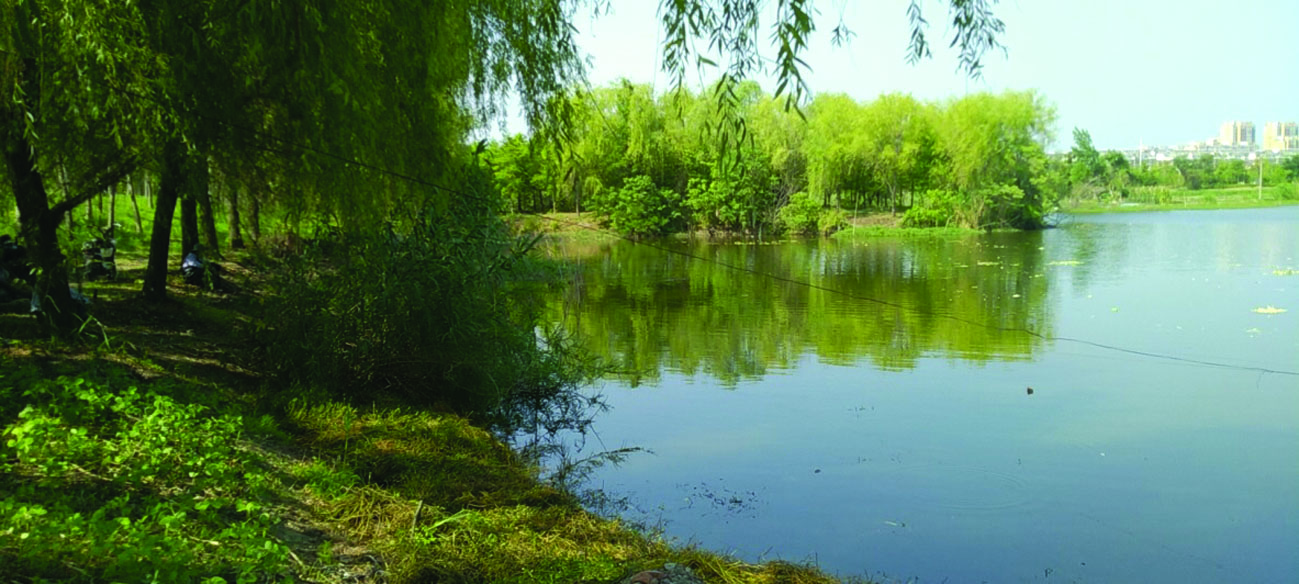 扬州网讯 (通讯员 潘烨 记者 刘宁) 自八里镇村庄清洁百日行动开展