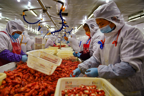 在安徽合肥一家小龙虾深加工企业的车间内,工人们正在加工小龙虾.