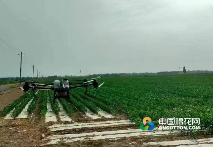 无人机喷施农药进行虫害防治