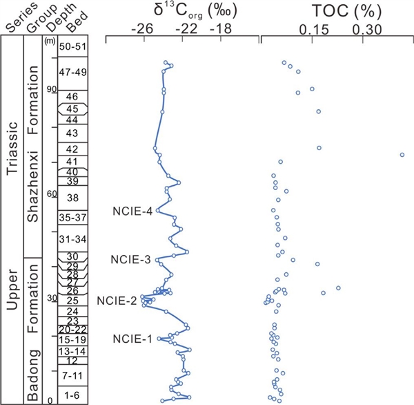 圖2. 鄂西地區晚三疊世早期沉積的有機碳和總有機碳同位素負偏變化(NCIE）