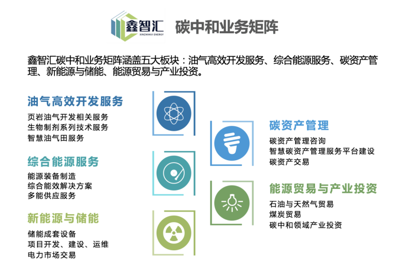 （五大业务板块图）