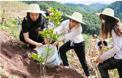 　　太古可口可乐云南“消碳庄园”已完成230亩生态友好种植计划