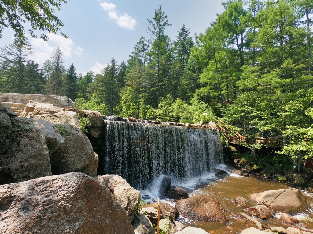 旅游会客厅丨"人和心,总有一个在伊春"|伊春市_新浪财经_新浪网