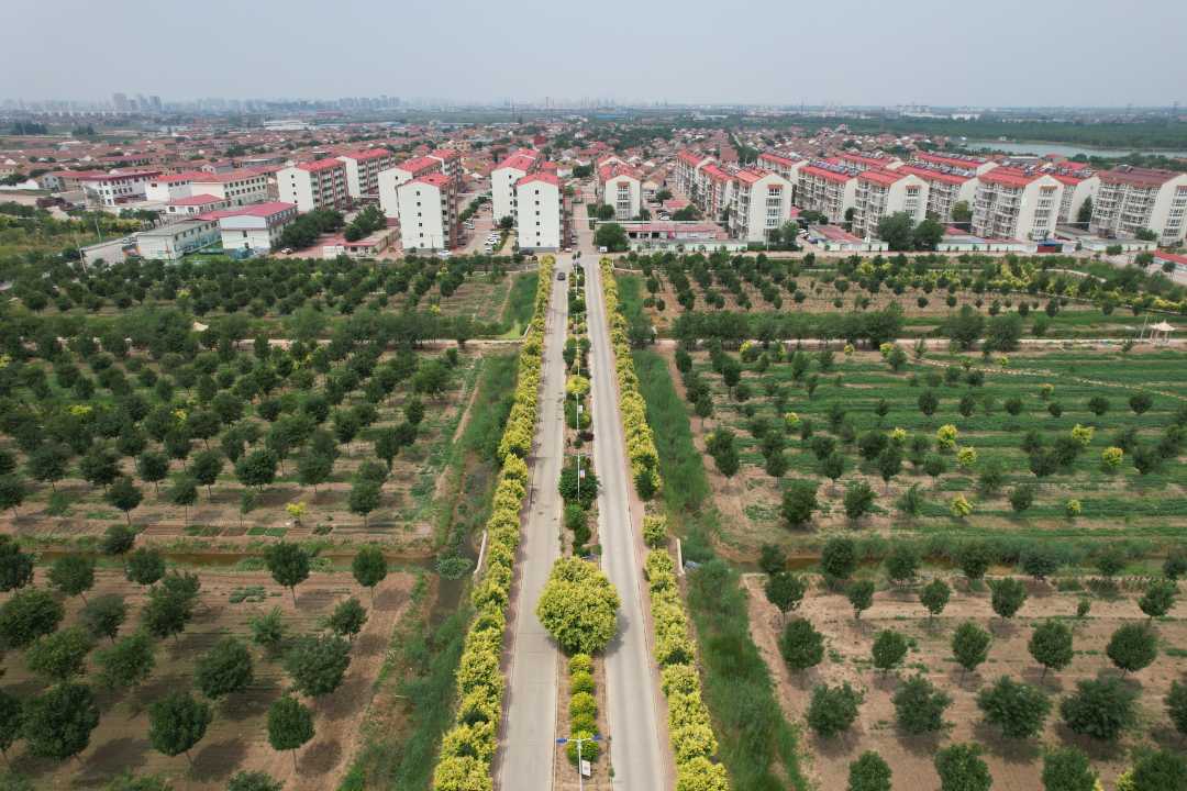 河北沧州市新华区乡村更美丽百姓更幸福