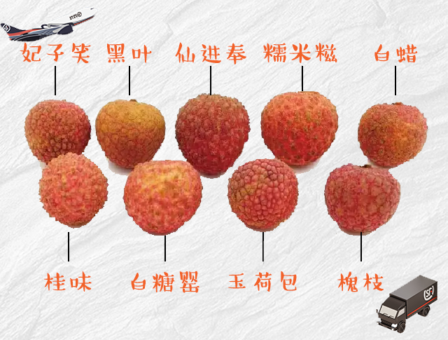 一文了解荔枝的今生,附今夏吃荔枝地图,不容错过!_手机新浪网